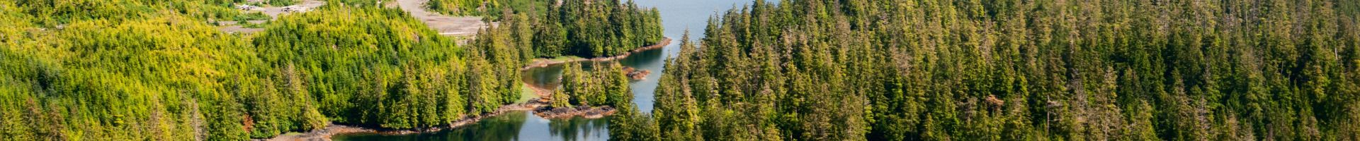 Background image for About page title.