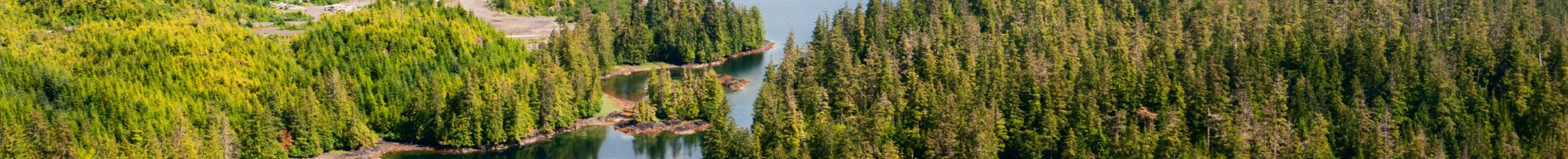 Background image for About page title.